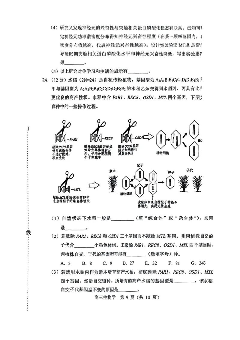 内蒙古赤峰市2025届高三下学期3&middot;20模拟考试生物试卷（含答案）_2025年3月_250320内蒙古赤峰市2025届高三下学期3&middot;20模拟考试（二模）