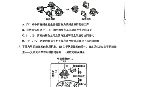 内蒙古赤峰市2025届高三下学期3&middot;20模拟考试生物试卷（含答案）_2025年3月_250320内蒙古赤峰市2025届高三下学期3&middot;20模拟考试（二模）