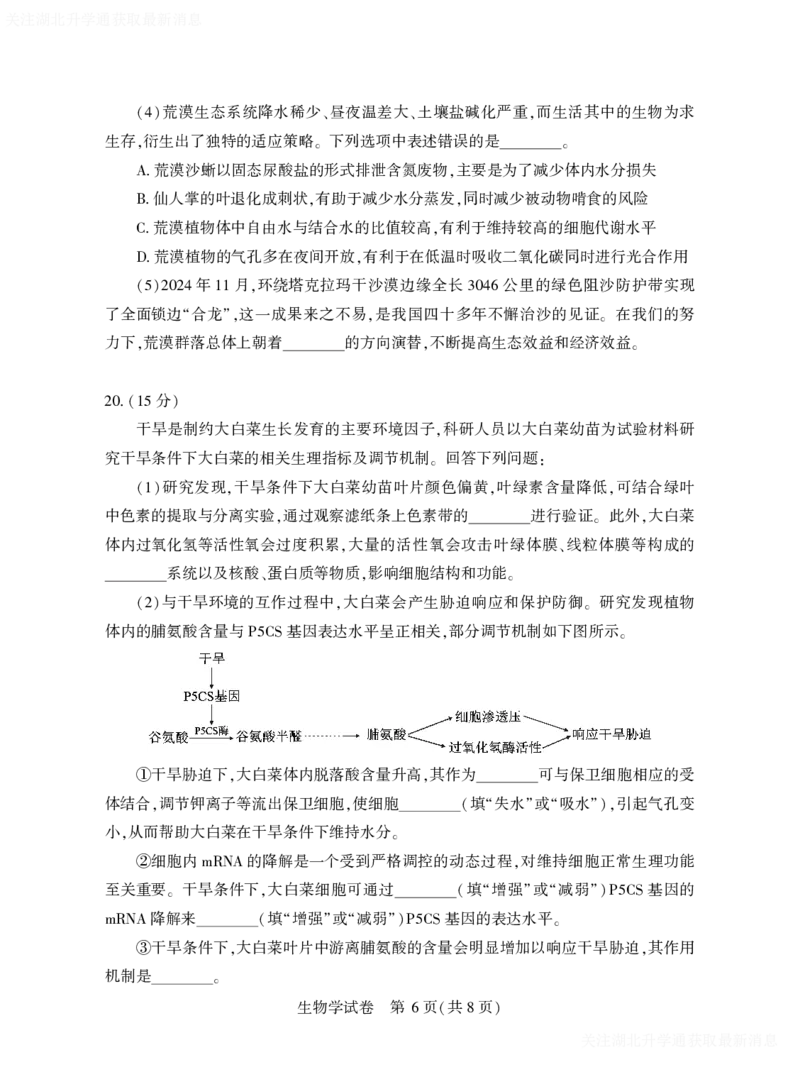 2025年湖北省八市高三（3月）联考生物_2025年3月_2503142025年湖北省八市高三(3月)联考（全科）_生物