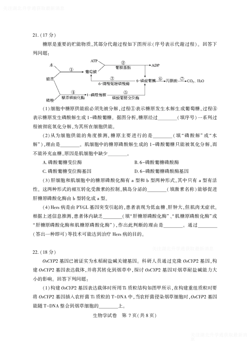 2025年湖北省八市高三（3月）联考生物_2025年3月_2503142025年湖北省八市高三(3月)联考（全科）_生物