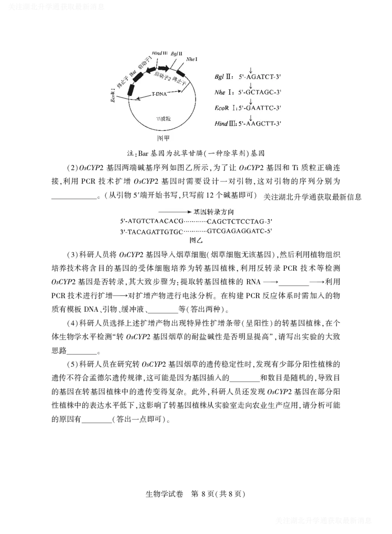 2025年湖北省八市高三（3月）联考生物_2025年3月_2503142025年湖北省八市高三(3月)联考（全科）_生物