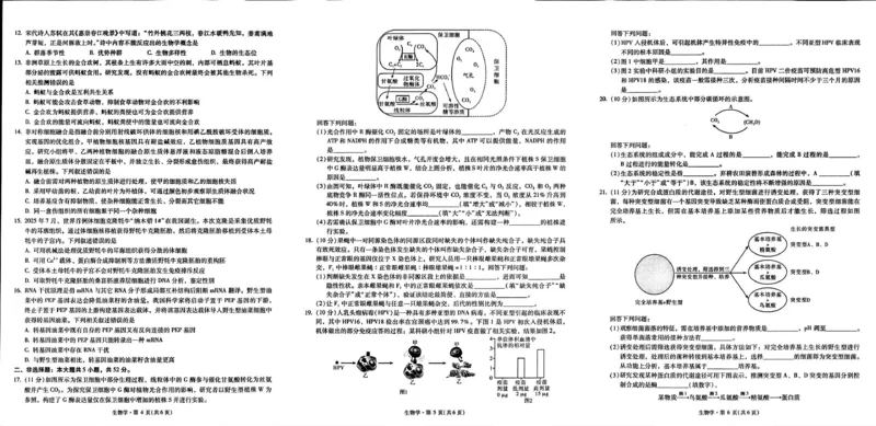云南省昆明市第一中学2026届高三年级第二次联考生物_2025年10月_251001云南省昆明市第一中学2025-2026学年高三上学期第二次联考（全科）