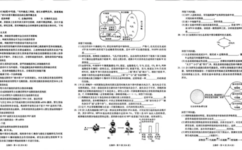 云南省昆明市第一中学2026届高三年级第二次联考生物_2025年10月_251001云南省昆明市第一中学2025-2026学年高三上学期第二次联考（全科）