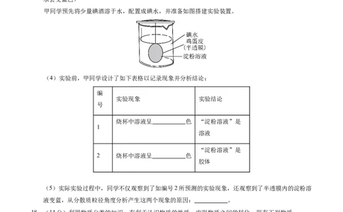 高一化学第一次月考卷（考试版）测试范围：第1章（人教版2019必修第一册）A4版_1多考区联考试卷