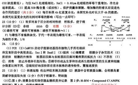 2025年金华市义乌市高三三模-生物答案_2025年5月_2505142025年金华市义乌市高三三模适应性考试（全科）_2025年金华市义乌市高三三模适应性考试生物