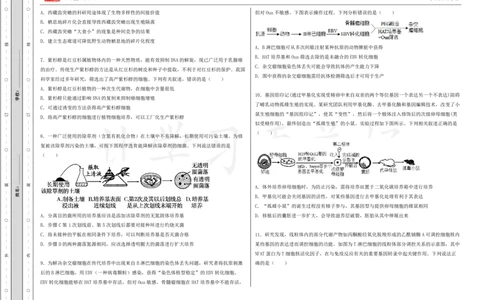 (8.26)-点睛押题卷&mdash;&mdash;吉林卷_2024高考押题卷_132024高途全系列_26高途点睛卷_2024点睛密卷-生物
