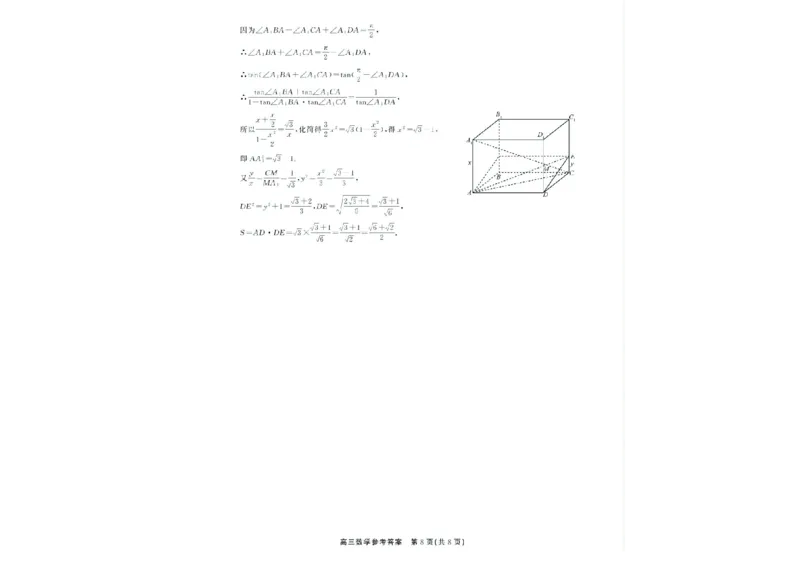 2025届安徽省高三下学期鼎尖预测大联考数学试题_2025年5月_2505132025届安徽省鼎尖名校联盟高三5月预测联考（全科）