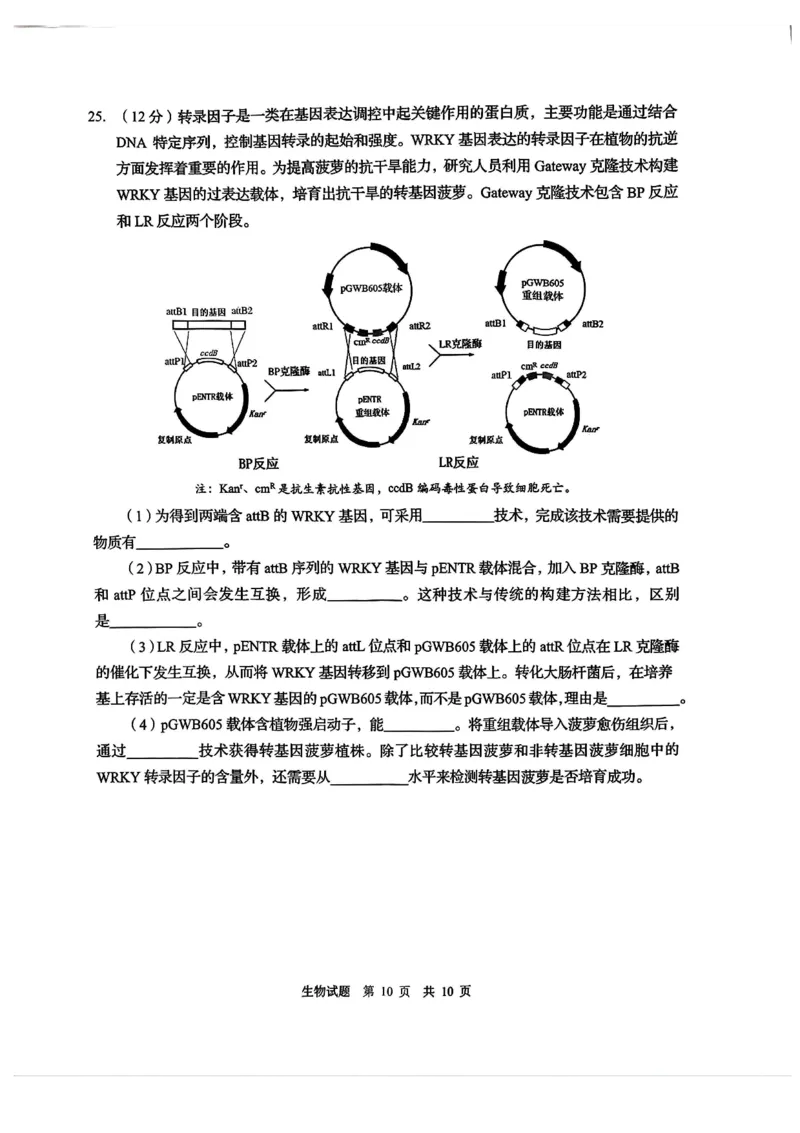 2025届山东省青岛市、淄博市高三下学期5月第二次适应性检测生物试卷(含答案)_2025年5月_2505102025届山东省青岛市、淄博市高三下学期5月第二次适应性检测（全科）