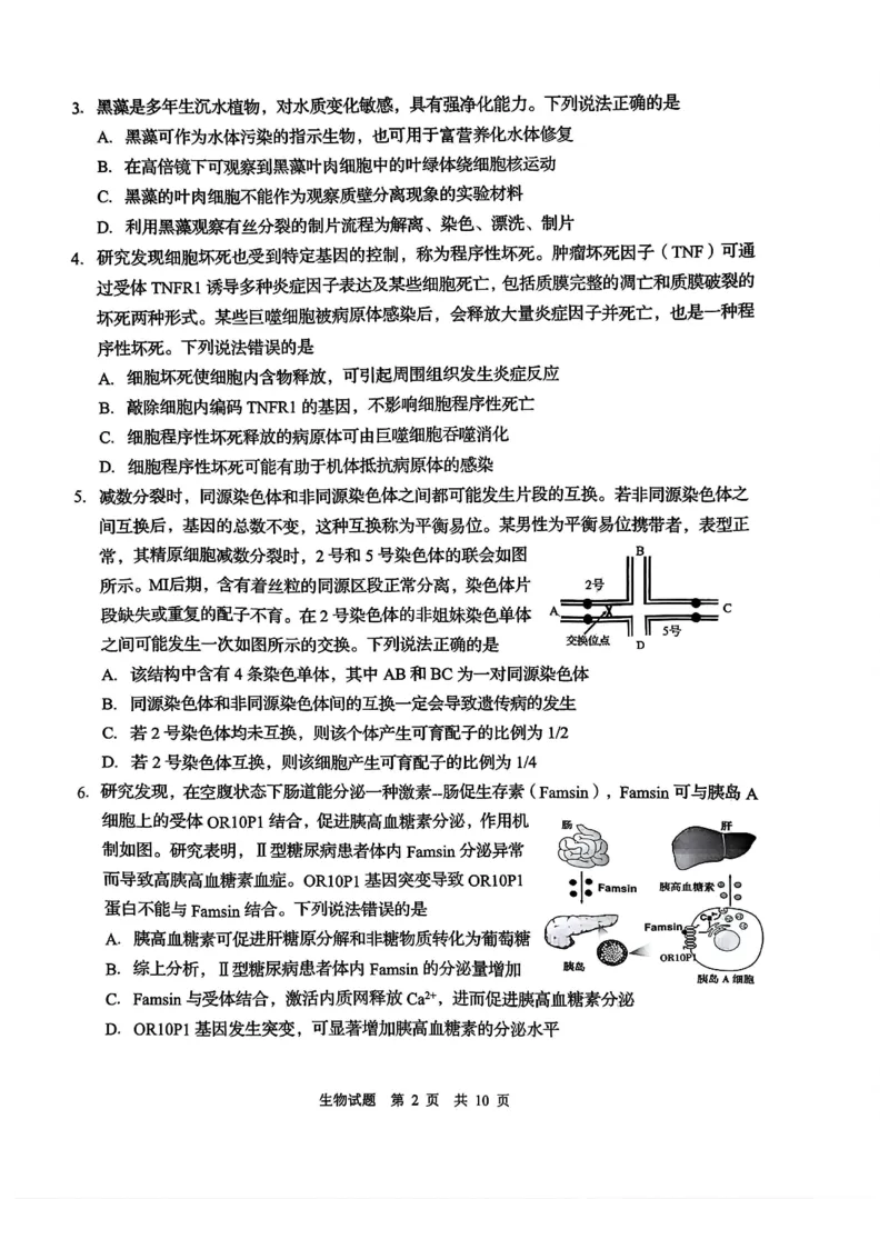 2025届山东省青岛市、淄博市高三下学期5月第二次适应性检测生物试卷(含答案)_2025年5月_2505102025届山东省青岛市、淄博市高三下学期5月第二次适应性检测（全科）