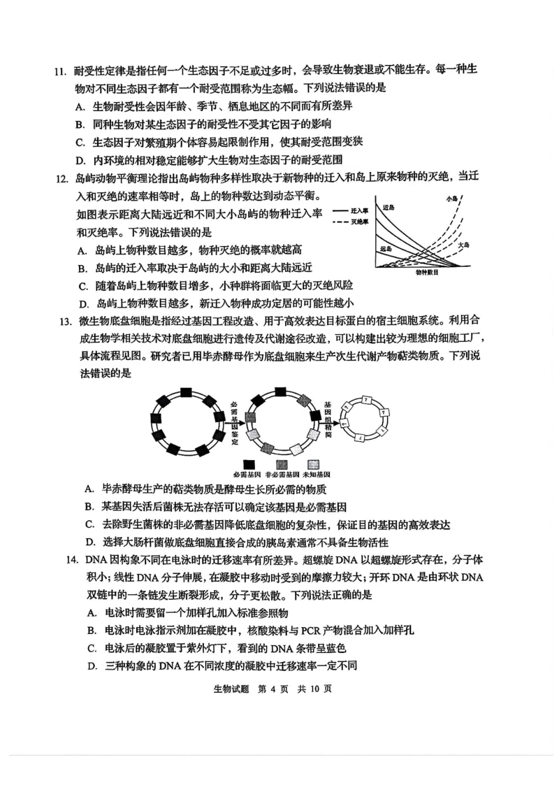 2025届山东省青岛市、淄博市高三下学期5月第二次适应性检测生物试卷(含答案)_2025年5月_2505102025届山东省青岛市、淄博市高三下学期5月第二次适应性检测（全科）