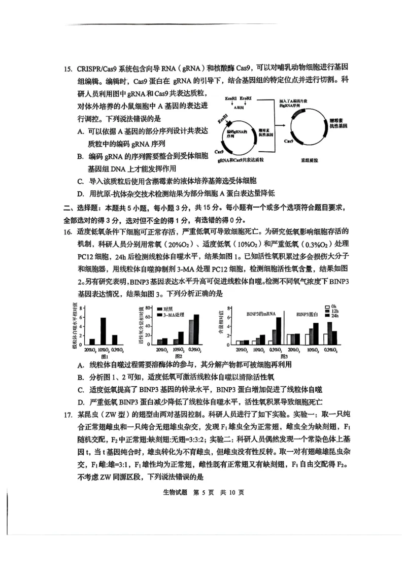 2025届山东省青岛市、淄博市高三下学期5月第二次适应性检测生物试卷(含答案)_2025年5月_2505102025届山东省青岛市、淄博市高三下学期5月第二次适应性检测（全科）