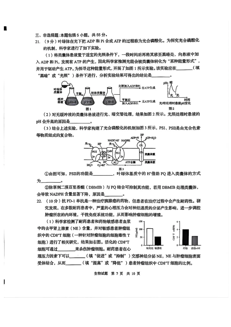 2025届山东省青岛市、淄博市高三下学期5月第二次适应性检测生物试卷(含答案)_2025年5月_2505102025届山东省青岛市、淄博市高三下学期5月第二次适应性检测（全科）