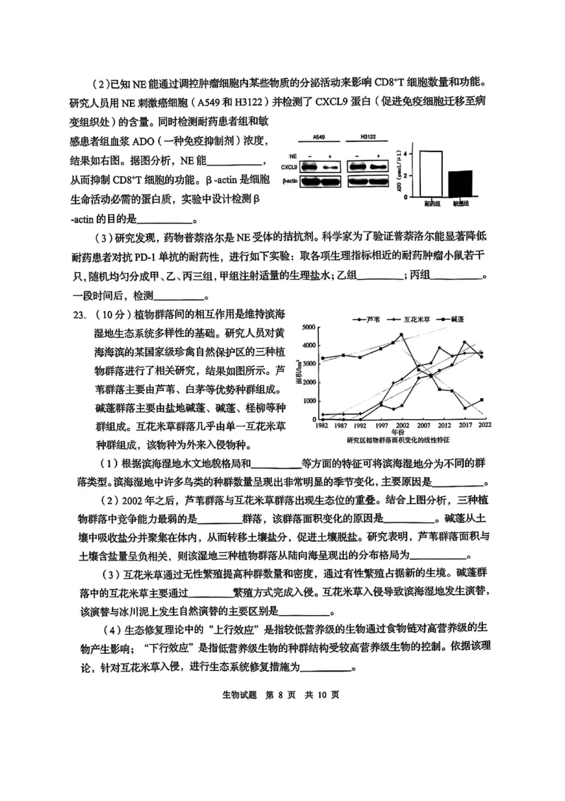 2025届山东省青岛市、淄博市高三下学期5月第二次适应性检测生物试卷(含答案)_2025年5月_2505102025届山东省青岛市、淄博市高三下学期5月第二次适应性检测（全科）