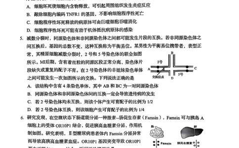 2025届山东省青岛市、淄博市高三下学期5月第二次适应性检测生物试卷(含答案)_2025年5月_2505102025届山东省青岛市、淄博市高三下学期5月第二次适应性检测（全科）