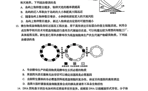 2025届山东省青岛市、淄博市高三下学期5月第二次适应性检测生物试卷(含答案)_2025年5月_2505102025届山东省青岛市、淄博市高三下学期5月第二次适应性检测（全科）