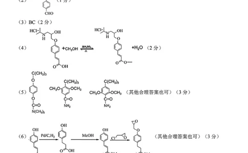 2024学年第二学期浙江省七彩阳光新高考研究联盟返校联考化学答案_2025年2月_2502172024学年第二学期浙江省七彩阳光新高考研究联盟返校联考（全科）