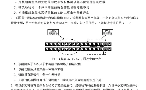 2025黑龙江哈尔滨六中高三第二次模拟考试生物含答案_2025年4月_250406黑龙江哈尔滨第六中学2025届高三第二次模拟考试（全科）