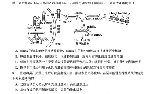 2025黑龙江哈尔滨六中高三第二次模拟考试生物含答案_2025年4月_250406黑龙江哈尔滨第六中学2025届高三第二次模拟考试（全科）