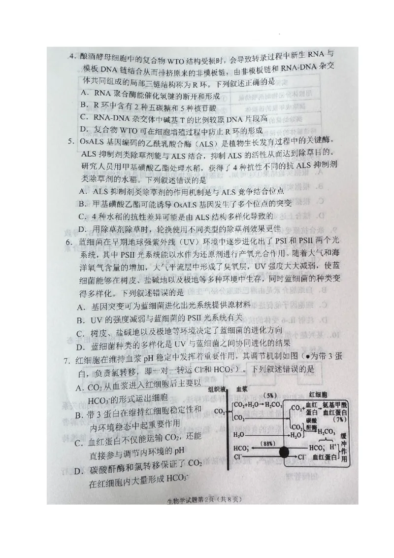 2025届四川省南充市高三下学期适应性考试生物试题_2025年2月_2502272025届四川省南充市高三第二次适应性考试（全科）_2025届四川省南充市高三第二次适应性考试生物