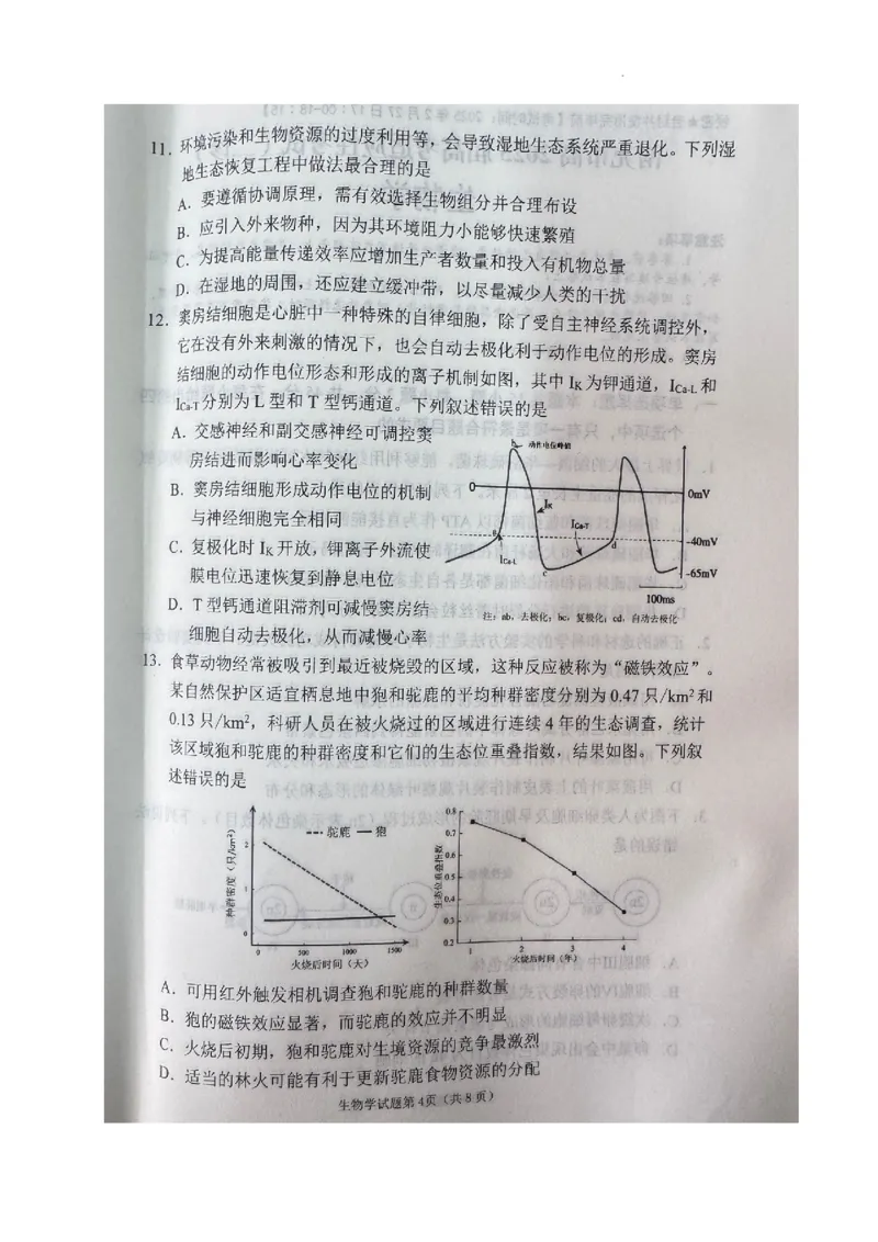 2025届四川省南充市高三下学期适应性考试生物试题_2025年2月_2502272025届四川省南充市高三第二次适应性考试（全科）_2025届四川省南充市高三第二次适应性考试生物