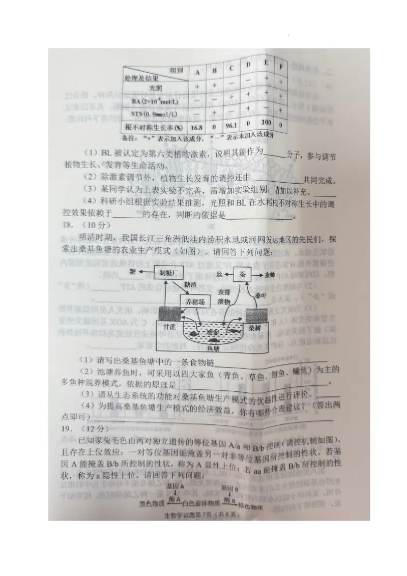 2025届四川省南充市高三下学期适应性考试生物试题_2025年2月_2502272025届四川省南充市高三第二次适应性考试（全科）_2025届四川省南充市高三第二次适应性考试生物