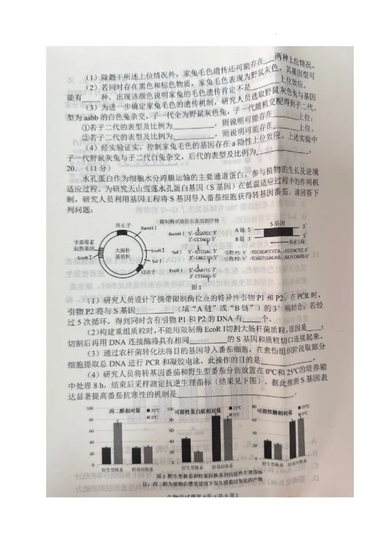 2025届四川省南充市高三下学期适应性考试生物试题_2025年2月_2502272025届四川省南充市高三第二次适应性考试（全科）_2025届四川省南充市高三第二次适应性考试生物
