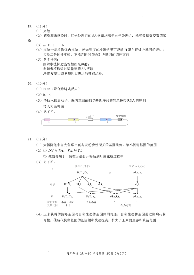 北京市海淀区2024-2025学年上学期高三期末练习生物答案_2025年1月_250125北京市海淀区2024-2025学年上学期高三期末练习试卷（全科）_北京市海淀区2024-2025学年上学期高三期末练习生物
