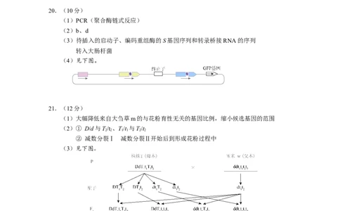 北京市海淀区2024-2025学年上学期高三期末练习生物答案_2025年1月_250125北京市海淀区2024-2025学年上学期高三期末练习试卷（全科）_北京市海淀区2024-2025学年上学期高三期末练习生物
