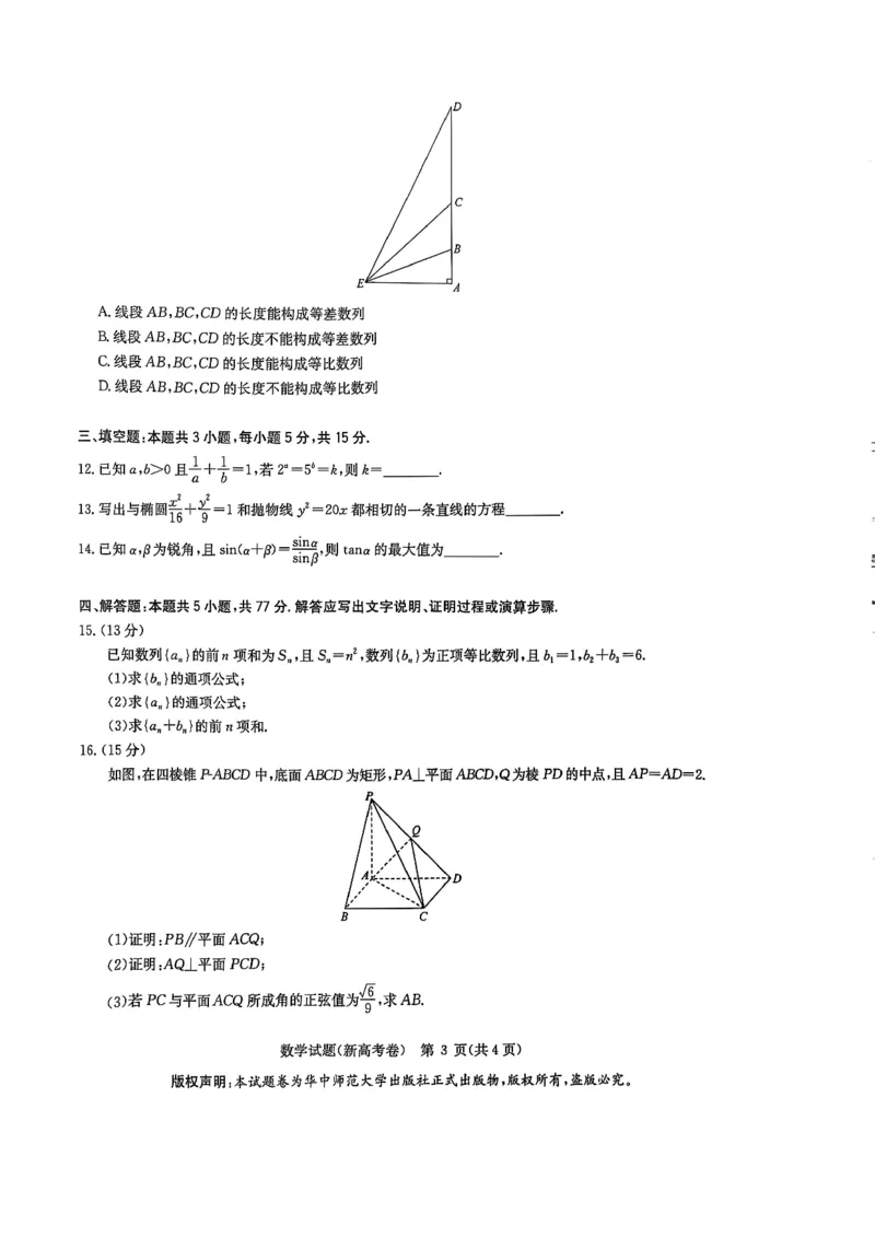 华大新高考联盟2025届高三4月教学质量测评数学_2025年4月_250428湖北省华大新高考联盟2025届高三4月教学质量测评（全科）_华大新高考联盟2025届高三4月教学质量测评数学