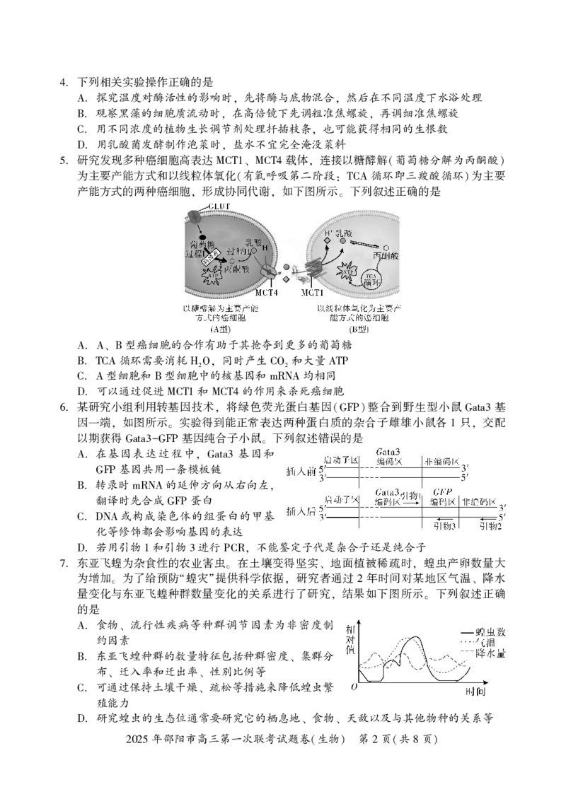 2025年邵阳市高三第一次联考生物试题_2025年1月_250120湖南省邵阳市2024-2025学年高三上学期期末考试（全科）_2025年邵阳市高三第一次联考生物试题