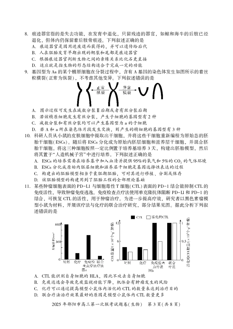 2025年邵阳市高三第一次联考生物试题_2025年1月_250120湖南省邵阳市2024-2025学年高三上学期期末考试（全科）_2025年邵阳市高三第一次联考生物试题