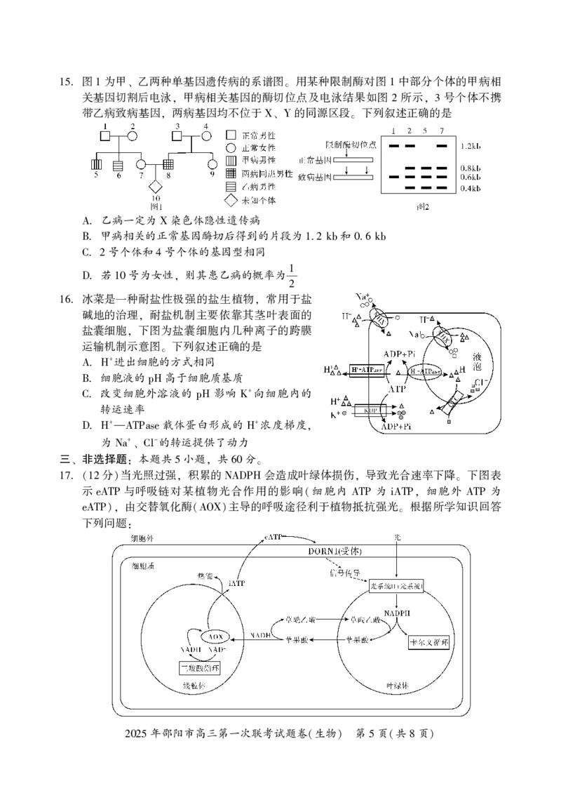 2025年邵阳市高三第一次联考生物试题_2025年1月_250120湖南省邵阳市2024-2025学年高三上学期期末考试（全科）_2025年邵阳市高三第一次联考生物试题