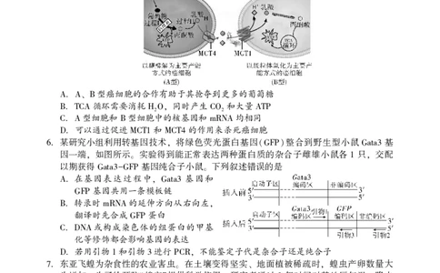 2025年邵阳市高三第一次联考生物试题_2025年1月_250120湖南省邵阳市2024-2025学年高三上学期期末考试（全科）_2025年邵阳市高三第一次联考生物试题
