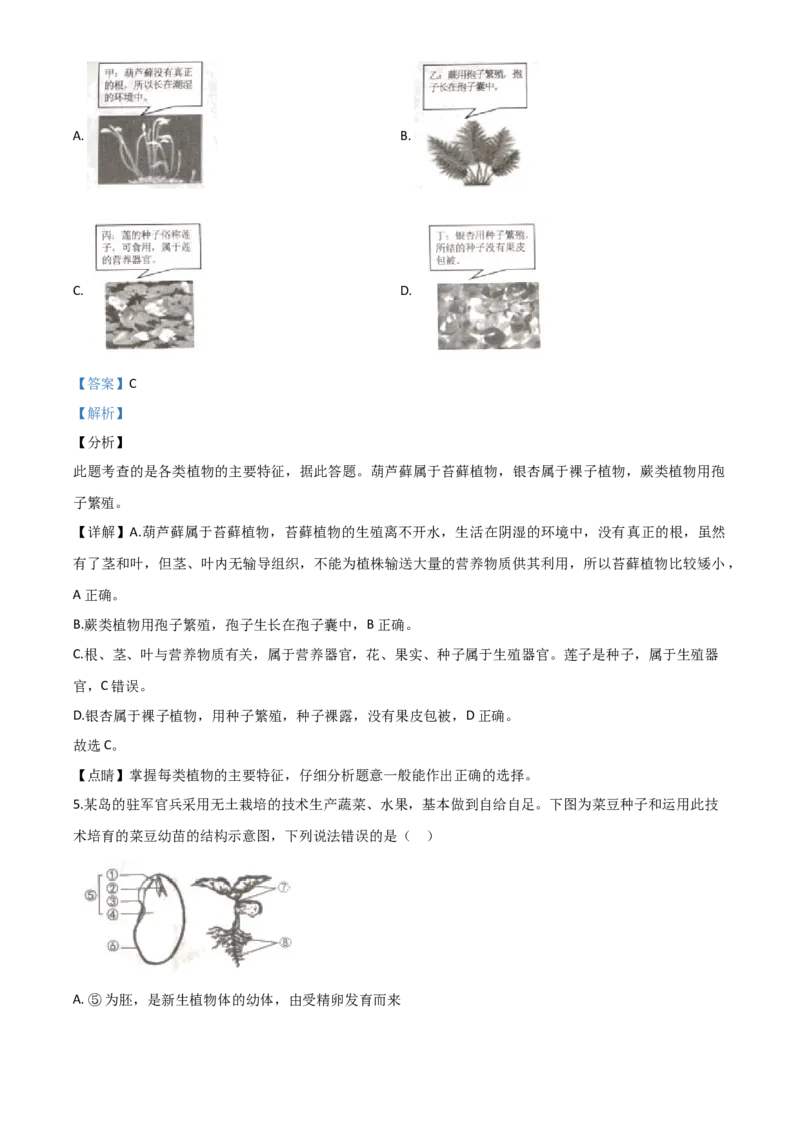 精品解析：湖南省张家界市2020年中考生物试题（解析版）_中考真题_8.生物中考真题2015-2024年_2020生物真题74份_2020年中考真题解析生物(湖南张家界卷)精编word版