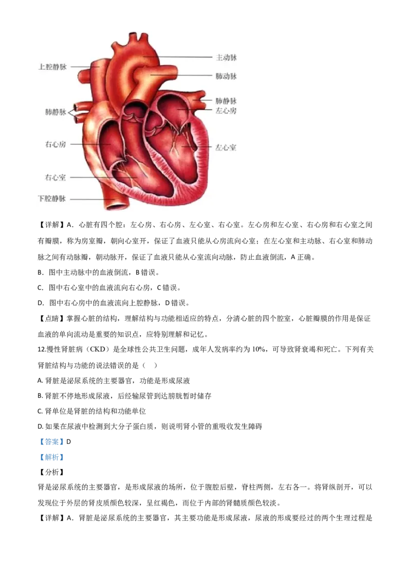 精品解析：湖南省张家界市2020年中考生物试题（解析版）_中考真题_8.生物中考真题2015-2024年_2020生物真题74份_2020年中考真题解析生物(湖南张家界卷)精编word版