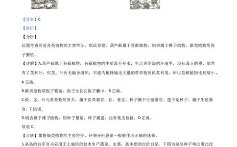 精品解析：湖南省张家界市2020年中考生物试题（解析版）_中考真题_8.生物中考真题2015-2024年_2020生物真题74份_2020年中考真题解析生物(湖南张家界卷)精编word版