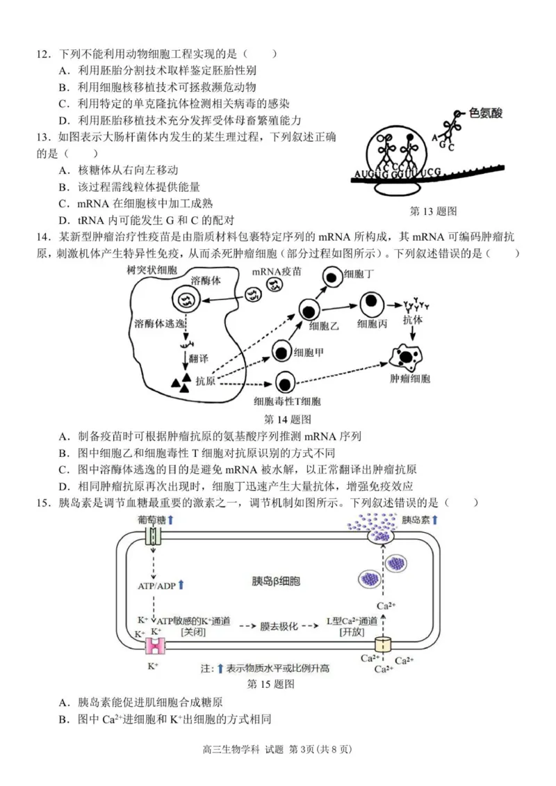 2510浙南联盟高三联考生物试卷_2025年10月_251010浙江省浙南名校联盟2026届高三上学期10月联考（全科）_浙江省浙南名校联盟2025-2026学年高三上学期10月联考生物试题