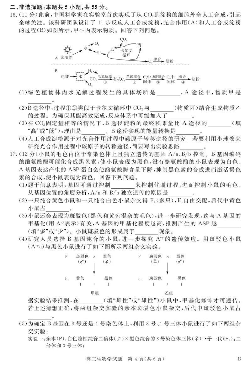 26001C-B-生物_2025年9月_250911安徽省华师联盟2025-2026学年高三上学期开学质量检测_安徽省华师联盟2026届高三上学期开学联考生物试题