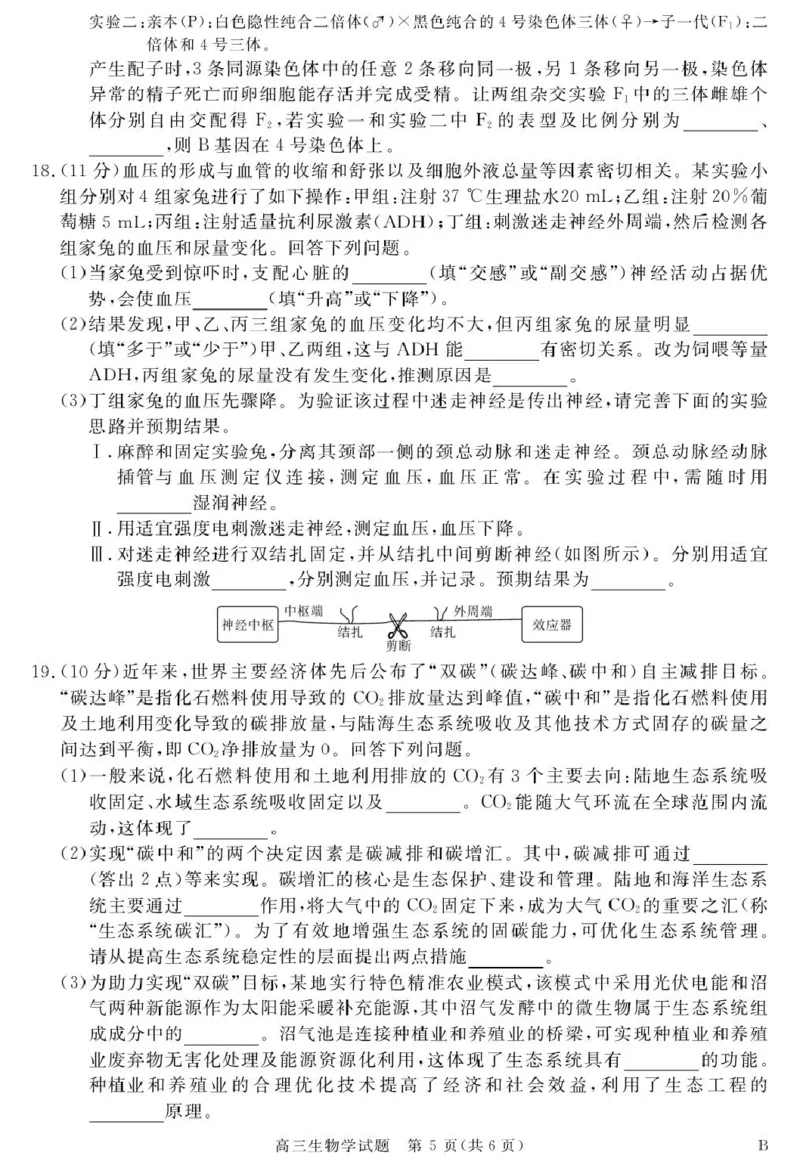 26001C-B-生物_2025年9月_250911安徽省华师联盟2025-2026学年高三上学期开学质量检测_安徽省华师联盟2026届高三上学期开学联考生物试题