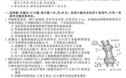 26001C-B-生物_2025年9月_250911安徽省华师联盟2025-2026学年高三上学期开学质量检测_安徽省华师联盟2026届高三上学期开学联考生物试题