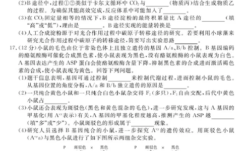 26001C-B-生物_2025年9月_250911安徽省华师联盟2025-2026学年高三上学期开学质量检测_安徽省华师联盟2026届高三上学期开学联考生物试题