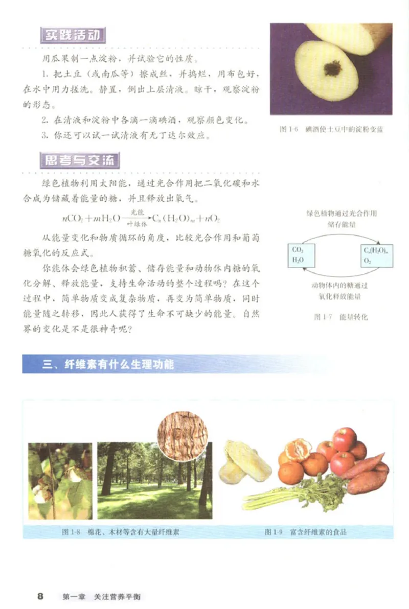 高中化学选修1化学与生活_4-教培资料-26年最新资料-同步更新_初中高中教资_03科三专项（进去保存报考的学科即可）_02科三专项（笔记真题思维导图教学设计版本二）