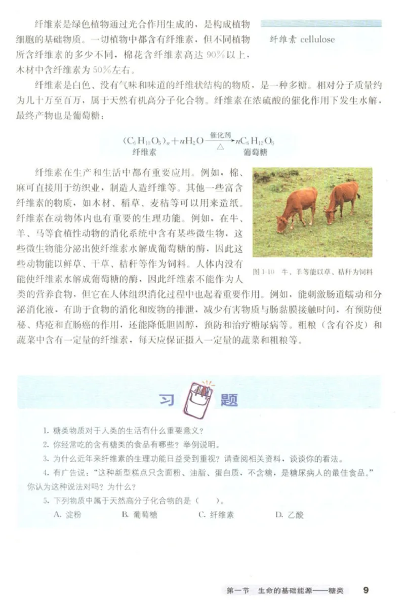 高中化学选修1化学与生活_4-教培资料-26年最新资料-同步更新_初中高中教资_03科三专项（进去保存报考的学科即可）_02科三专项（笔记真题思维导图教学设计版本二）