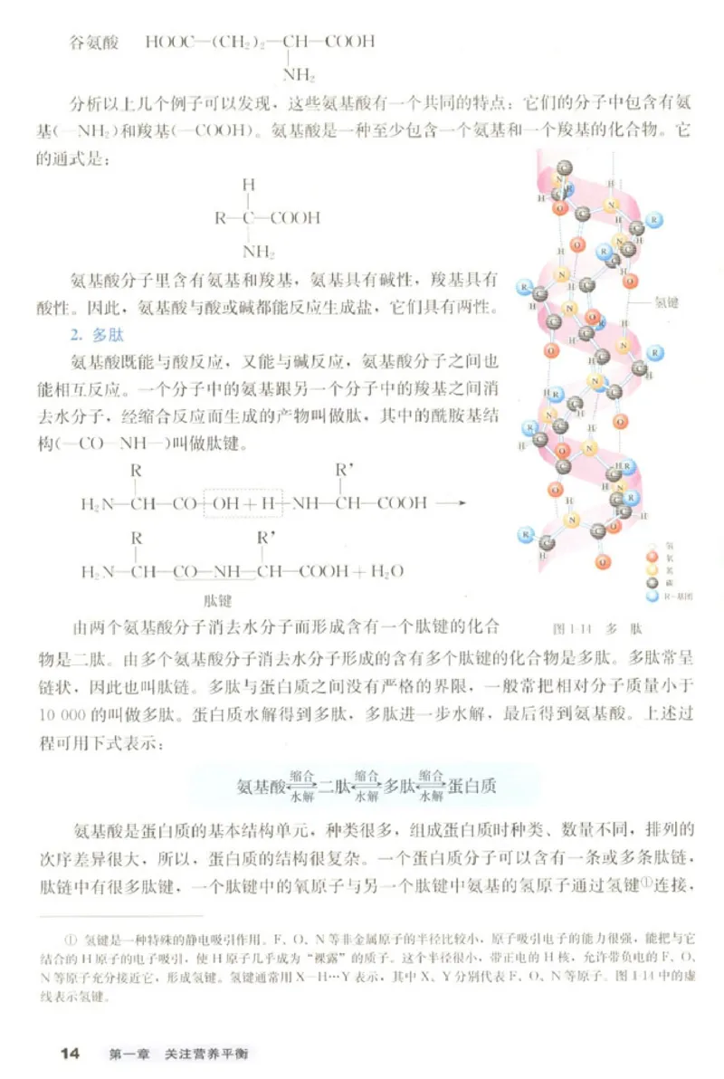 高中化学选修1化学与生活_4-教培资料-26年最新资料-同步更新_初中高中教资_03科三专项（进去保存报考的学科即可）_02科三专项（笔记真题思维导图教学设计版本二）