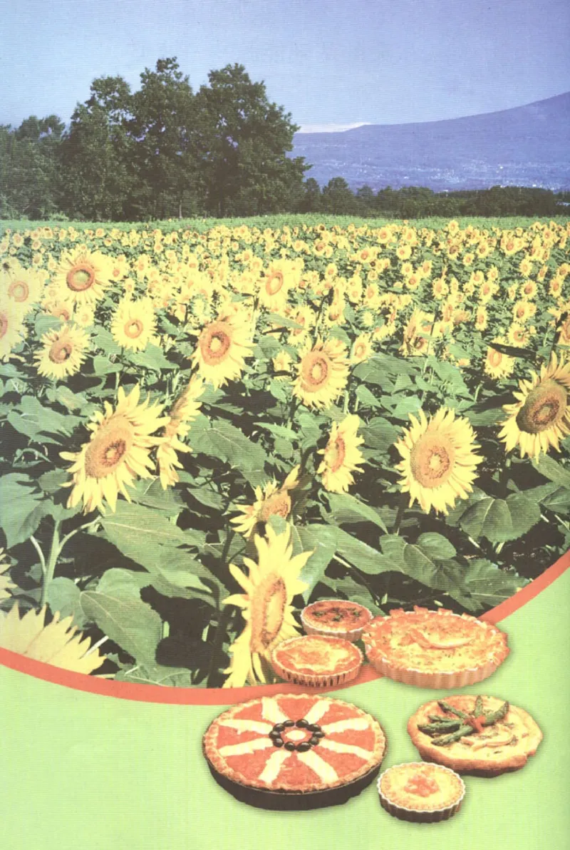 高中化学选修1化学与生活_4-教培资料-26年最新资料-同步更新_初中高中教资_03科三专项（进去保存报考的学科即可）_02科三专项（笔记真题思维导图教学设计版本二）