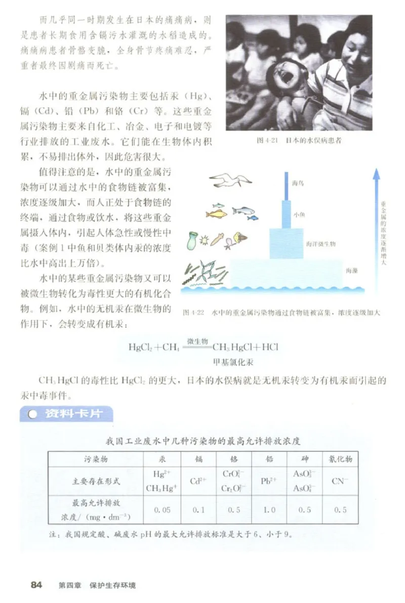 高中化学选修1化学与生活_4-教培资料-26年最新资料-同步更新_初中高中教资_03科三专项（进去保存报考的学科即可）_02科三专项（笔记真题思维导图教学设计版本二）