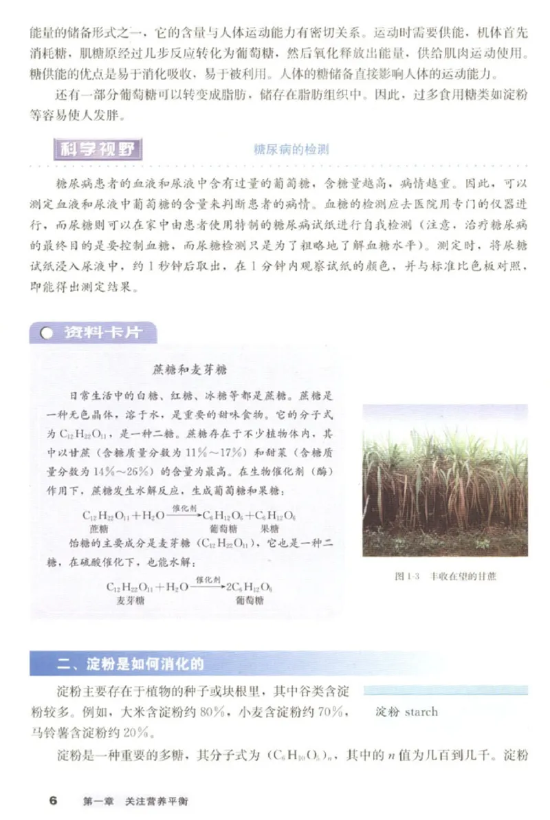 高中化学选修1化学与生活_4-教培资料-26年最新资料-同步更新_初中高中教资_03科三专项（进去保存报考的学科即可）_02科三专项（笔记真题思维导图教学设计版本二）