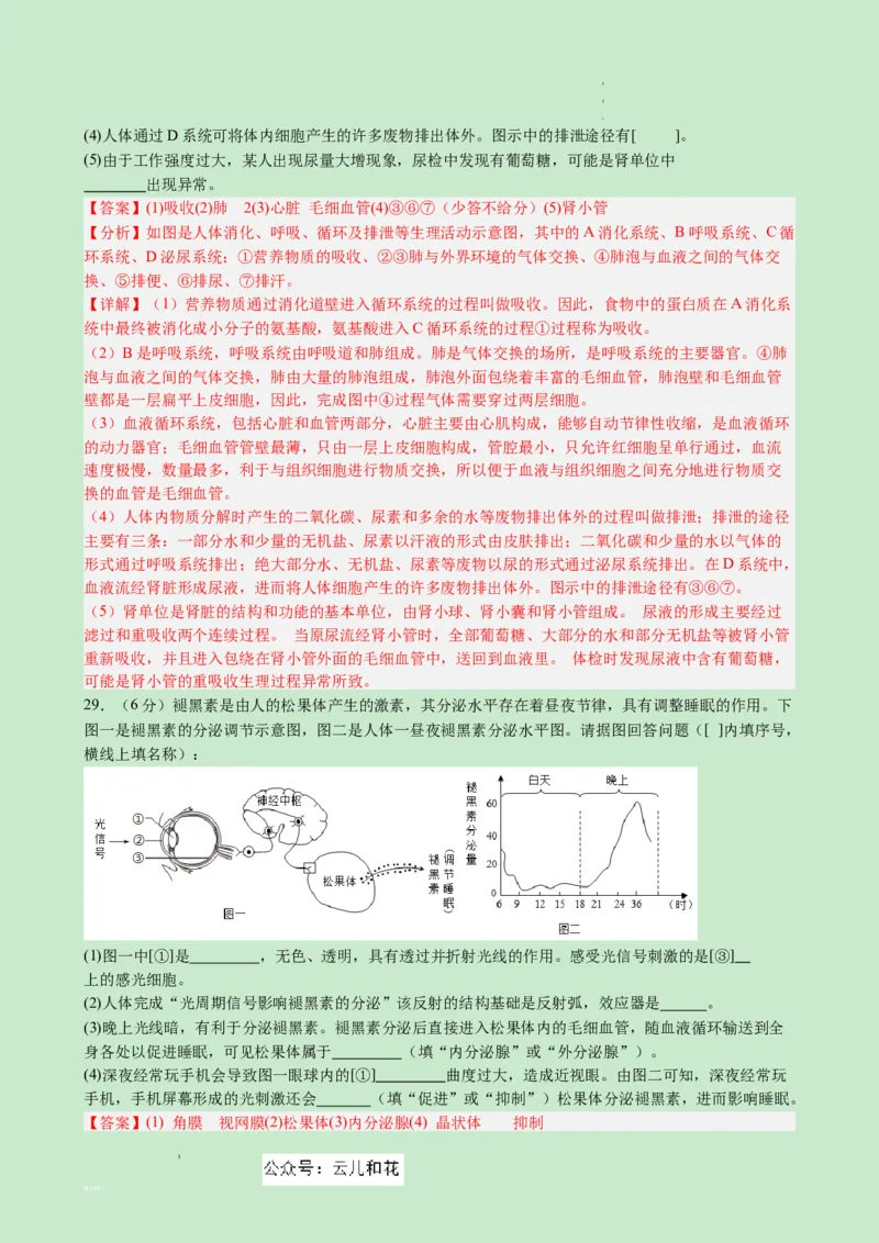 高一生物（新高考通用）01（解析版）_1多考区联考试卷_08272024年秋季高一入学分班考试模拟卷（word解析含答题卡）_生物（新高考通用）01-2024年秋季高一入学分班考试模拟卷