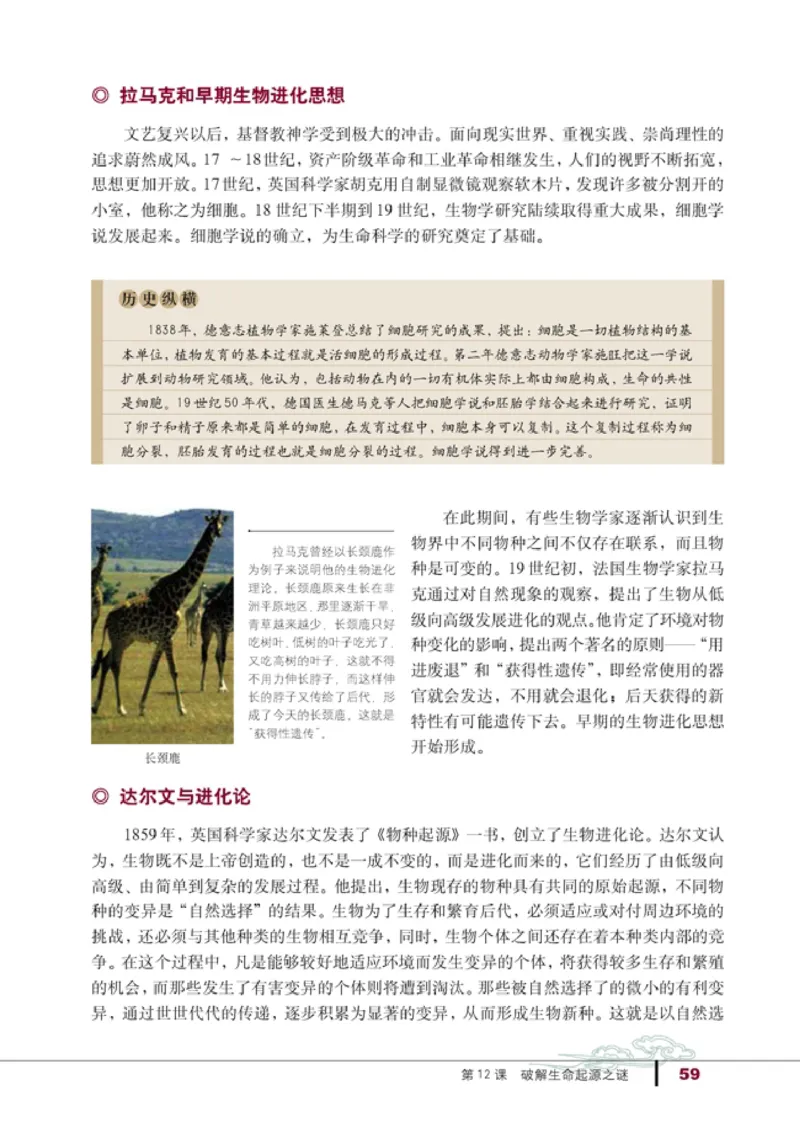 高中历史必修3_4-教培资料-26年最新资料-同步更新_初中高中教资_03科三专项（进去保存报考的学科即可）_02科三专项（笔记真题思维导图教学设计版本二）