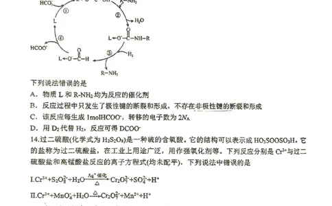 2025-2026学年度（上）高2026届9月月考化学_2025年9月_250920重庆实验外国语学校2025-2026学年度（上）高2026届9月月考（全科）_化学